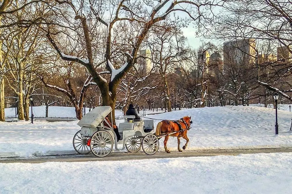 Near Time Square Stay In New York City, Columbus Circle And Health Kitchen